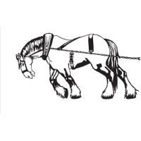 Workhorse Freight, LLC logo - Similar company to Anchor Installs, Llc
