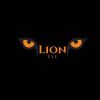 Lion Eye logo - Similar company to Safety Max Solutions Ltd