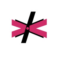 Techxcellence Official logo - Similar company to Bigcradle