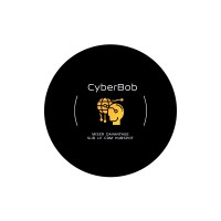 CyberBob logo - Similar company to Guépard - Experts Hubspot - Partenaire Certifié