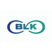 The BLK Foundation logo - Similar company to Lana Learn