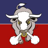 Aylesford Bulls Rugby Football Club