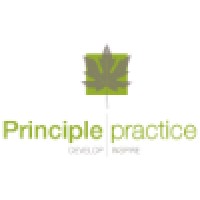 The Principle Practice Ltd