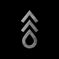 Flash Forest logo - Similar company to Airseed Technologies