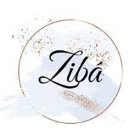 Ziba (BD) Store. logo - Similar company to Dn Store