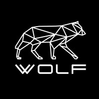 Wolf Technology Inc. logo - Similar company to Wolf Technology Group