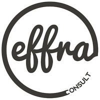 Effra Consult logo - Similar company to Pebbleco