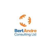 BertAndre Consulting logo - Similar company to Tsogolo Technolgies