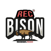 REC BISON logo - Similar company to Global Brand & Network Oü