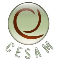CESAM Formation logo - Similar company to Bp2M Formation