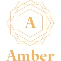 Amber logo - Similar company to Wabisabi Studio