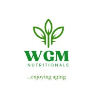 SKYSPACE & WGM logo - Similar company to Strawberryng — Software Engineering & Creative Agency