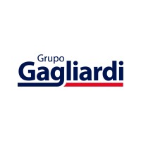 Grupo Gagliardi logo - Similar company to Witmob