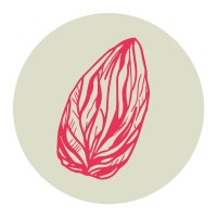 Nüsse von hier FS GmbH logo - Similar company to Inventied