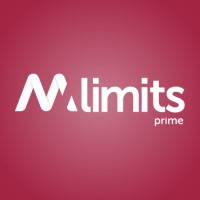M.Limits logo - Similar company to Mstn Group