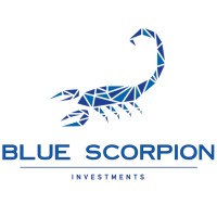 Blue Scorpion Investments logo - Similar company to Hampton Sun