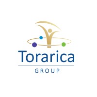 Torarica Group logo - Similar company to Kernel Information Technology N.V.