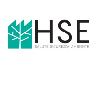 HSE S.r.l logo - Similar company to Hopplà