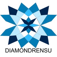 Diamondrensu logo - Similar company to Level Up Hubs