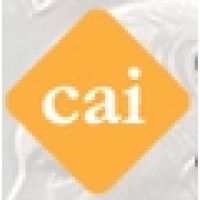 Collectors Alliance Inc
