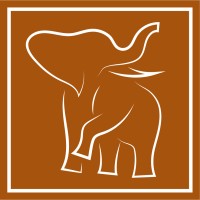 Marfim Capital AI logo - Similar company to Base Jr