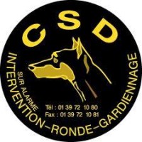 CSD logo - Similar company to Csd Mcg