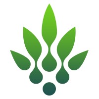 Lacann Group
