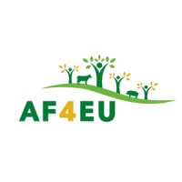 AF4EU logo - Similar company to Labplas H2020 Project