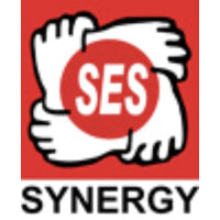 Synergy Energy Solutions Pvt. Ltd. logo - Similar company to Precise Electricals