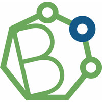 Biokem logo - Similar company to Pump And Process Solutions