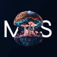 MycoStories logo - Similar company to Psychedelics Design