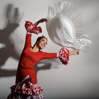 Lucidez Dance logo - Similar company to Duet London
