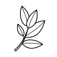 Asian Market logo - Similar company to Am Store