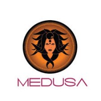 MEDUSA logo - Similar company to Just Wish