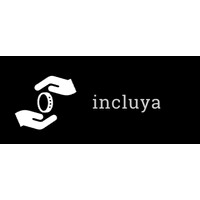 Incluya logo - Similar company to Vssta