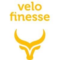 Velofinesse BV logo - Similar company to Inflata