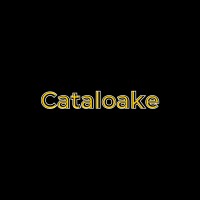 Cataloake logo - Similar company to Pethaamma Corporation