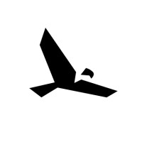 Soar Capital logo - Similar company to Boasi