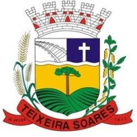 Prefeitura Municipal de Teixeira Soares logo - Similar company to Jp Cursos