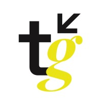 TechGeist logo - Similar company to Explain.Co.Za