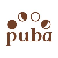 Puba logo - Similar company to Picktow