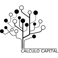 Calculo Evolution Fund logo - Similar company to Algostrata