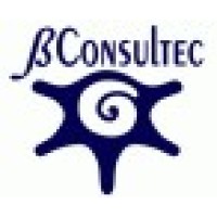 BConsultec logo - Similar company to Imdp Instituto Mexicano De Dirección De Proyectos E Innovación