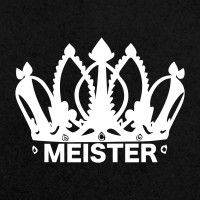 MEISTER DIGITAL logo - Similar company to Flash Forward Group