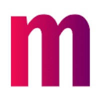 Metasys Digital logo - Similar company to Project Hire-Ed