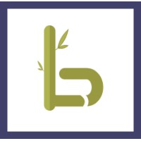 Lazybinary logo - Similar company to Sky Zenith