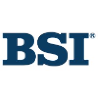 Business Software, Inc. logo - Similar company to Bsi Solutions, Inc.