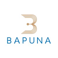 Bapuna Group logo - Similar company to Hinganghat Integrated Textile Park (Hitp)