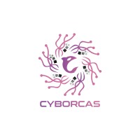 CybOrcas logo - Similar company to Cyber Connect