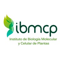 Instituto de Biología Molecular y Celular de Plantas, IBMCP (UPV - CSIC) logo - Similar company to Centro Nacional De Biotecnología (Cnb-Csic)